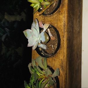 Meet your Posher, Nadia